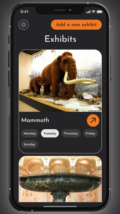 Museum Care: My Manager