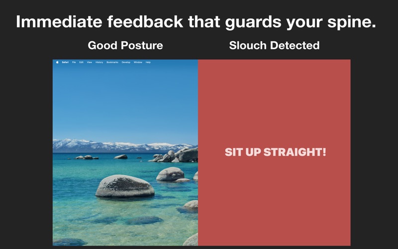 Shisei: AI Posture Guardian screenshot