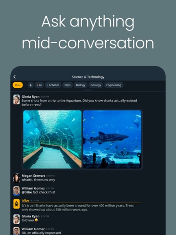 Tribe Chat - Find Your Tribe iPad screenshot