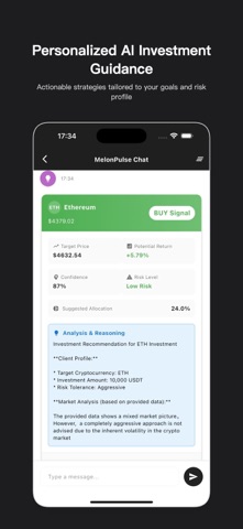 MelonPulse Screenshot 3 of 3