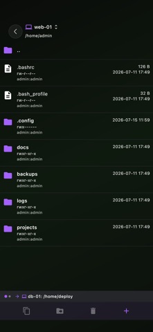 DR-Terminal screenshot