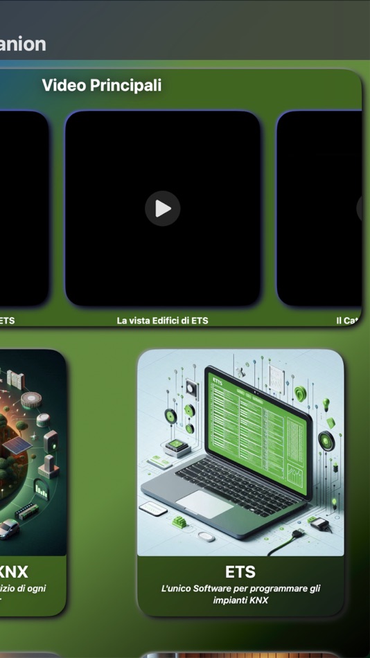 #2. PARTNER Companion (macOS) 来自: Davide Grandeppieno