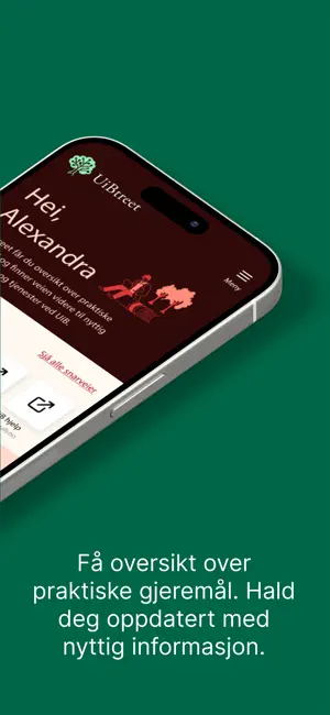 UiBtreet screenshot 2