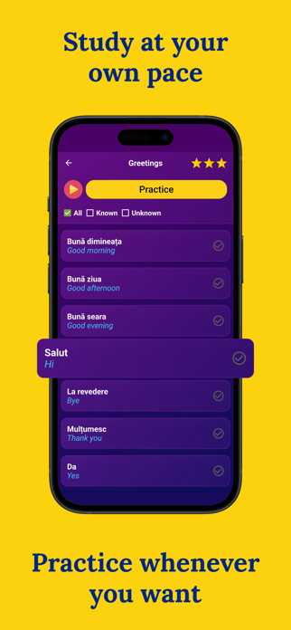 Learn Romanian (Beginners) Screenshot 3 of 7