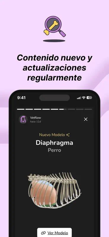 Vetflow - Aprende Anatomía screenshot 6 of 6