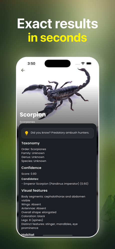 Bug Identifier: Spider Scanner screenshot 4
