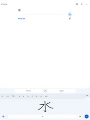 google translate ipad images 4