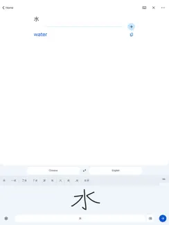 Google Translate iPad image 4