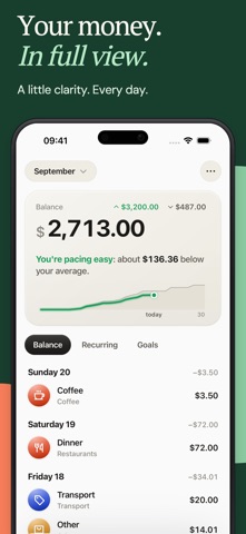 AI Expense Tracker - Papirer Screenshot 1 of 5