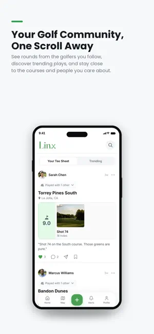 Linx Golf screenshot 1