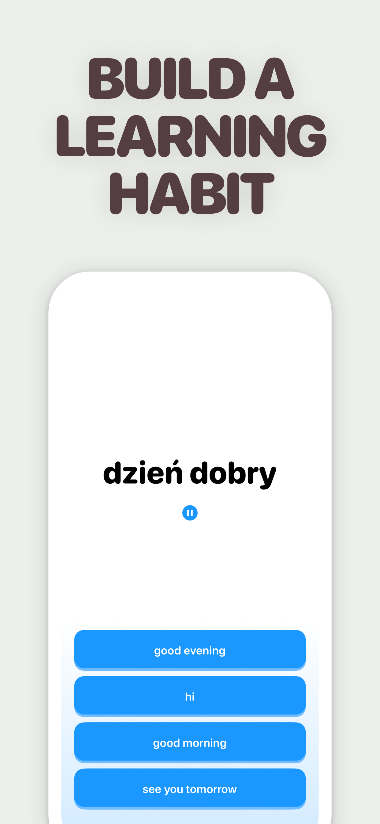 Learn Polish - LingoCat