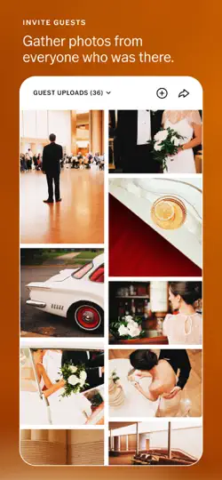 Captura de pantalla de VSCO Galleries en iPhone 5