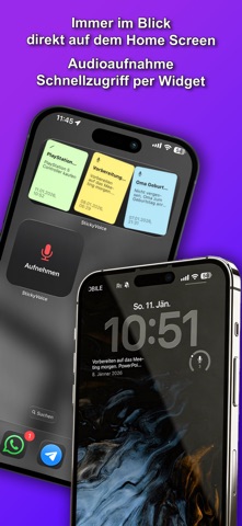 StickyVoice: Sprach-Notizen screenshot