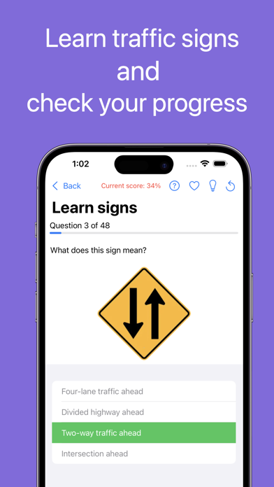 DMV Exam Prep (NY State) Screenshot