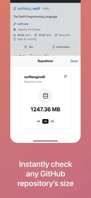 RepoMeter screenshot 2
