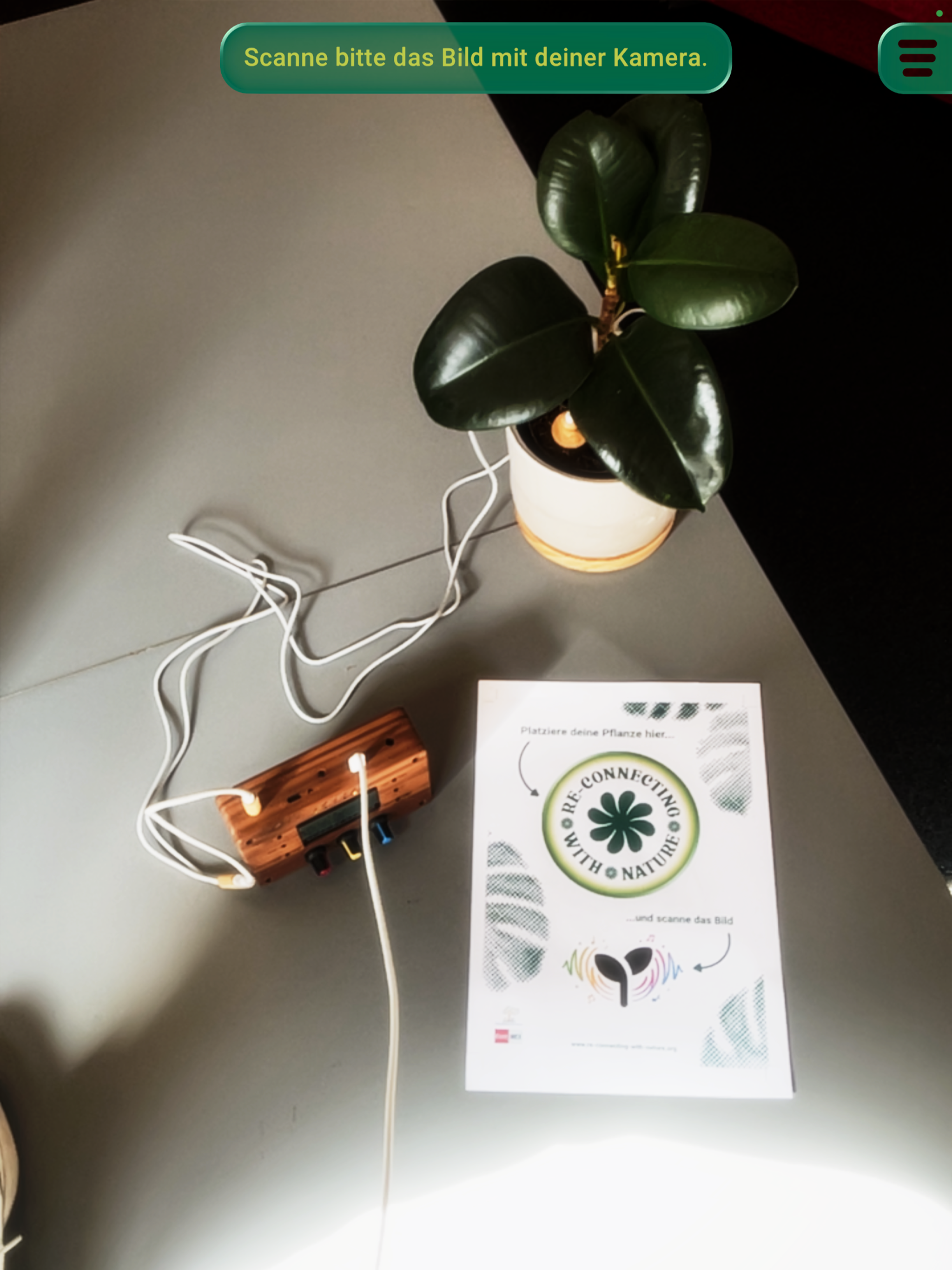 Re-Connecting with Nature AR