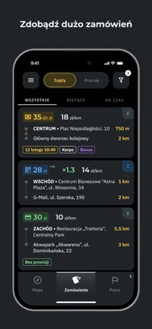 Polonia Taxi Driver screenshot