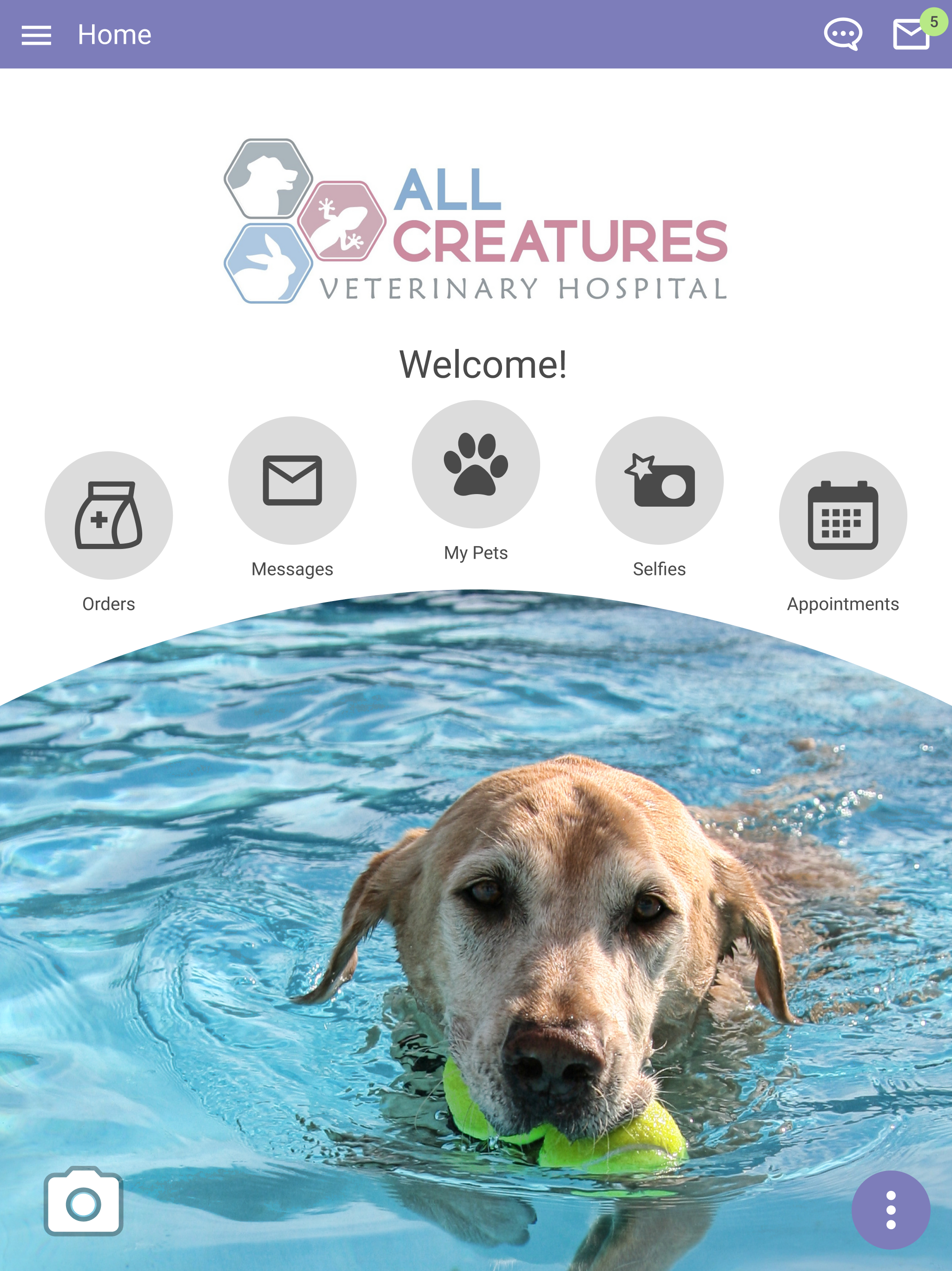 All Creatures Vet NC screenshot 6