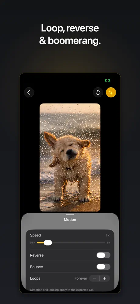 Video to GIF – GIF Maker screenshot 5