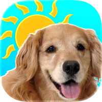 Sundoggy