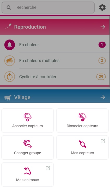Neo Decision screenshot-4