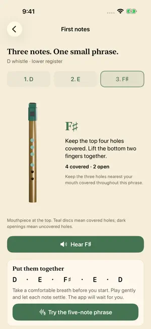 Session Whistle: Tin Whistle screenshot 1