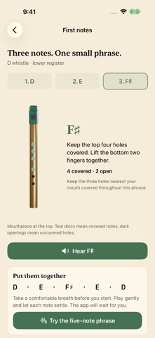Session Whistle: Tin Whistle Screenshot 1 of 5