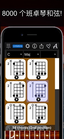 Banjo Chords Compass Lite screenshot