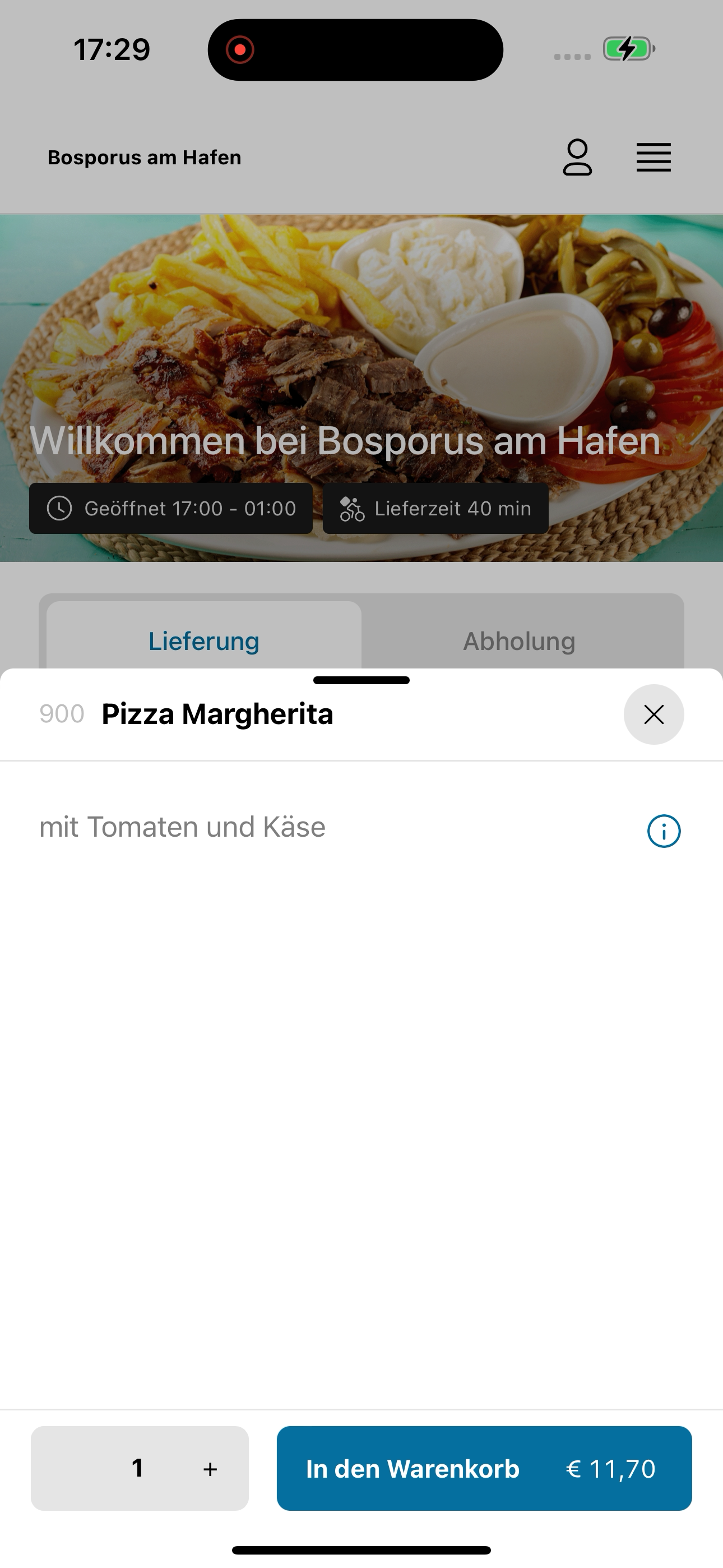 Bosporus am Hafen screenshot 8