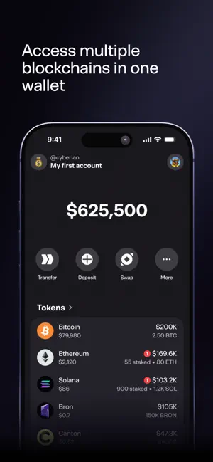 Bron Wallet screenshot 2