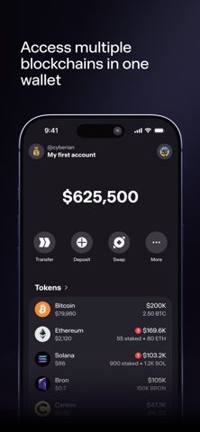 Bron Wallet Screenshot 2 of 6