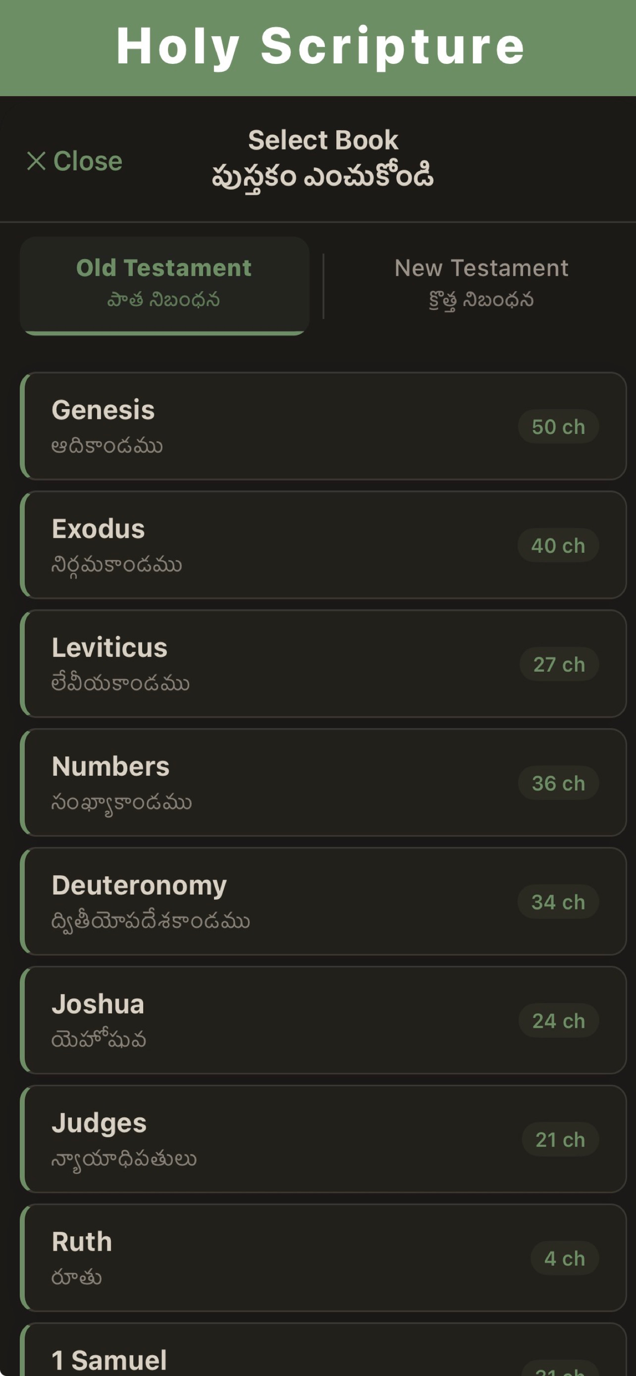 Holy Scripture - Bible App screenshot 4
