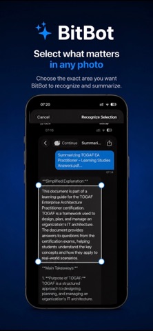 BitBot screenshot