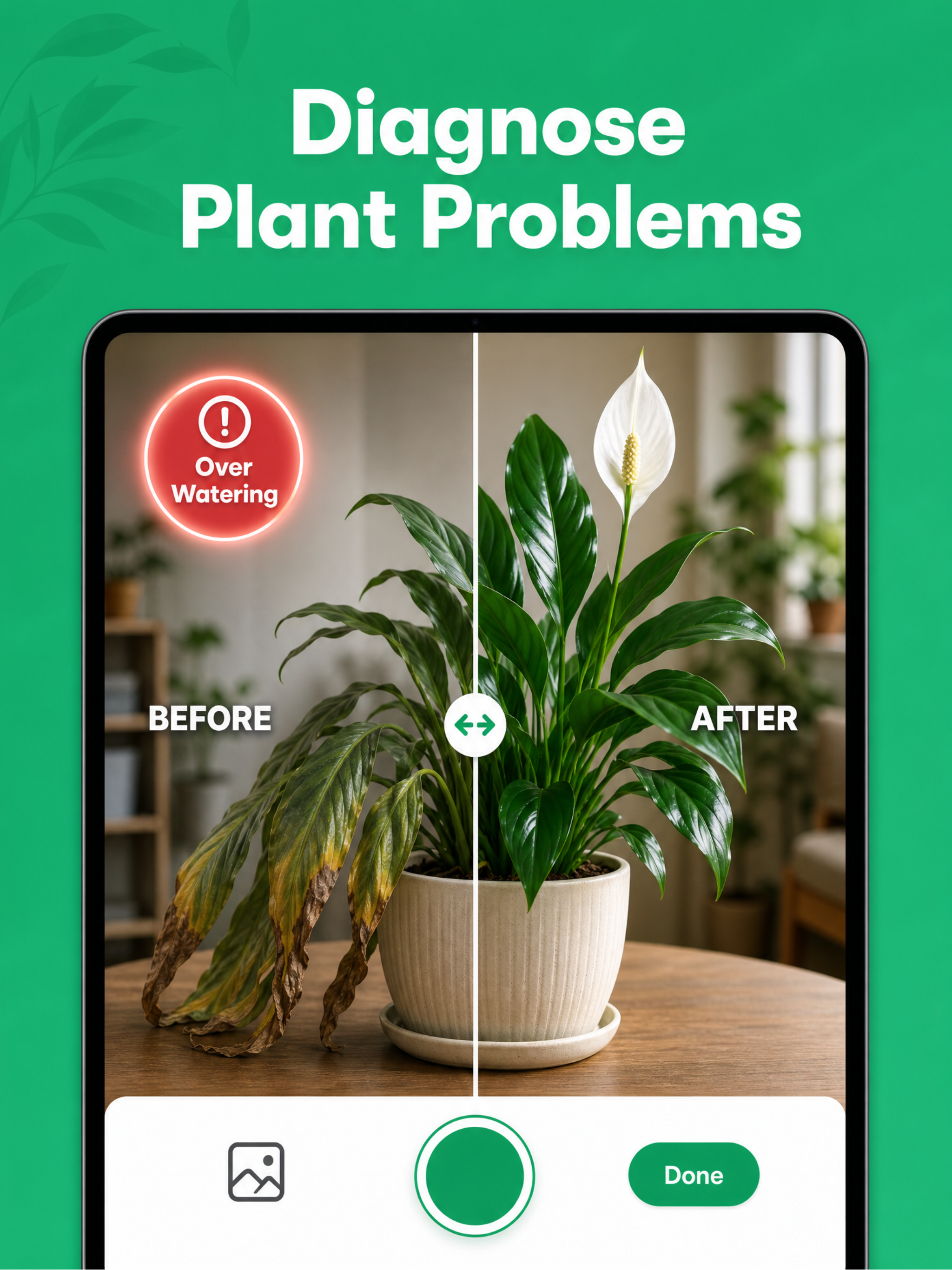 Plant Flow: Identify & Care screenshot 11