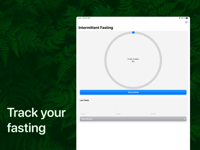 Intermittent Fasting Widget
