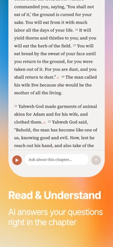 Bible Chat+ screenshot