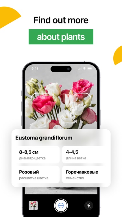 Lens Photo Scan・Identifier App