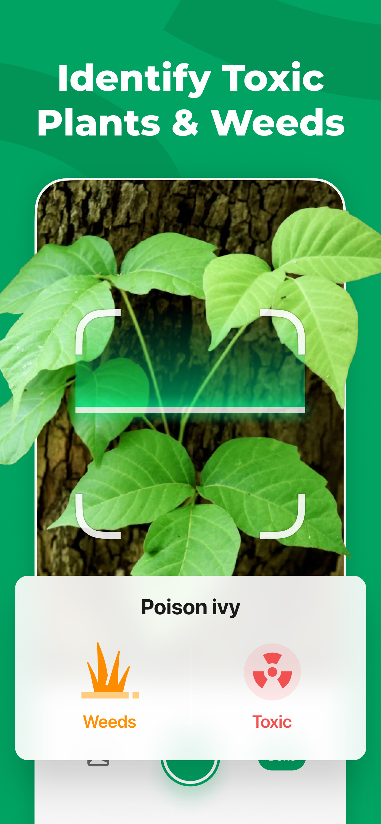 PictureThis - Plant Identifier
