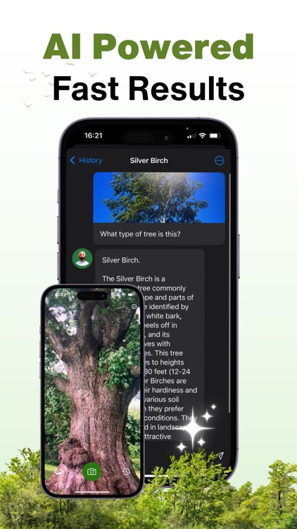 Tree Identifier - AI Scanner