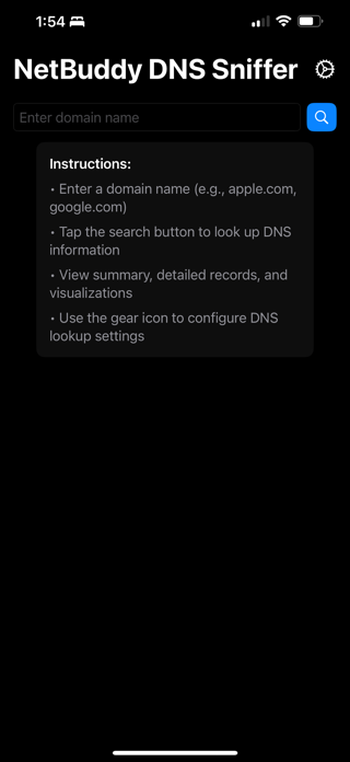 NetBuddy DNS Sniffer Screenshot 1 of 5