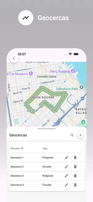 ControlGPS Mobile screenshot 2
