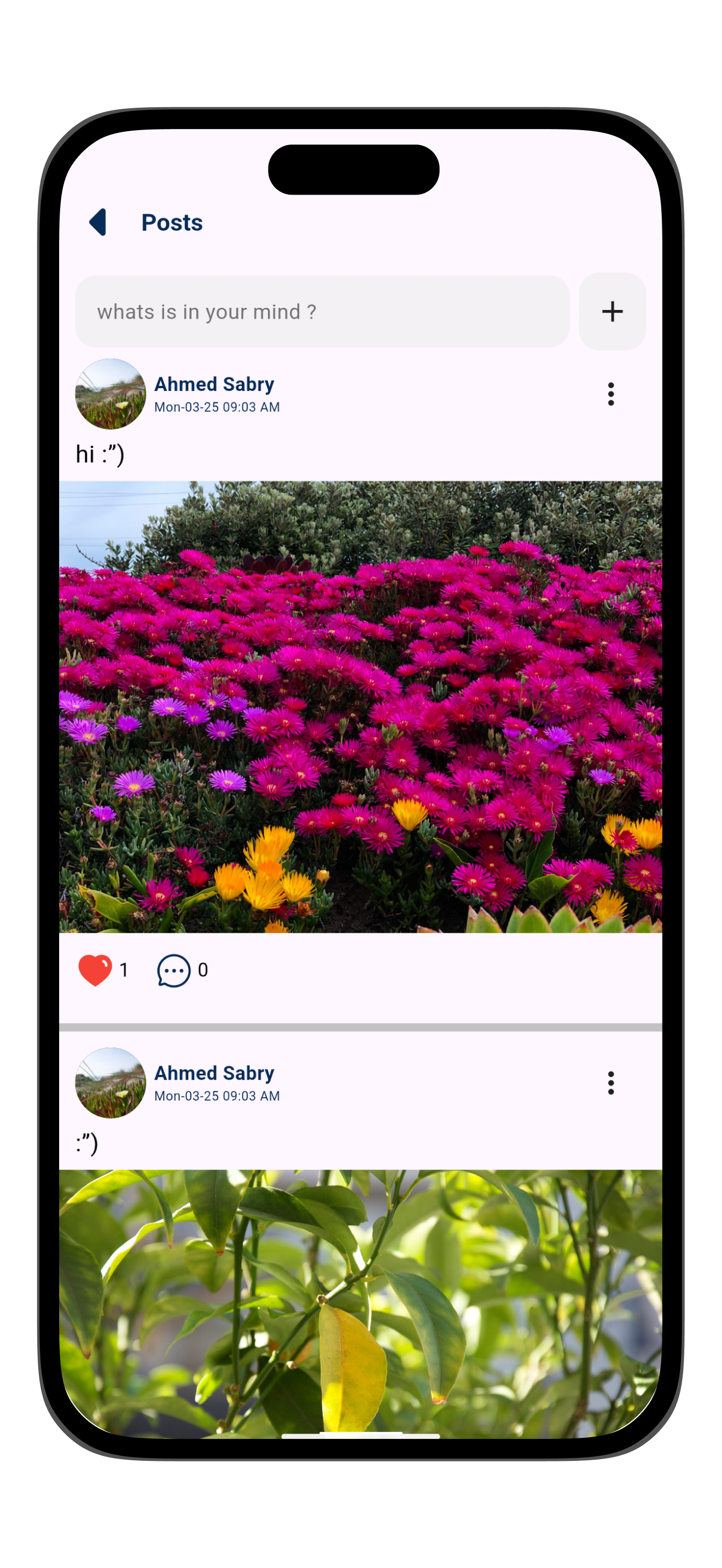 HLS screenshot 6