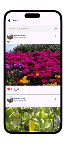 HLS screenshot