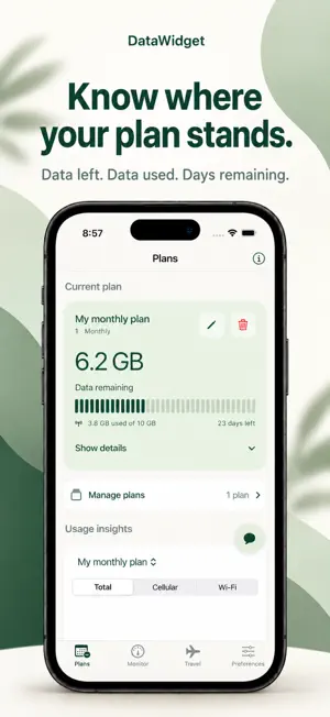DataWidget screenshot 3