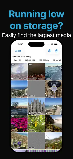 Downsize: Media Shrinker screenshot 1