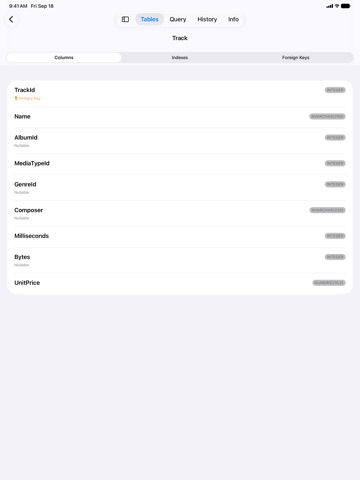 TablePro iPad screenshot 5