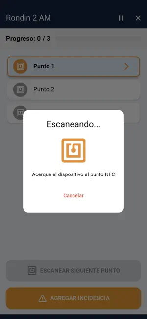 Seguridad247 screenshot 4