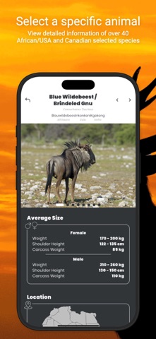 International Hunters iPhone screenshot