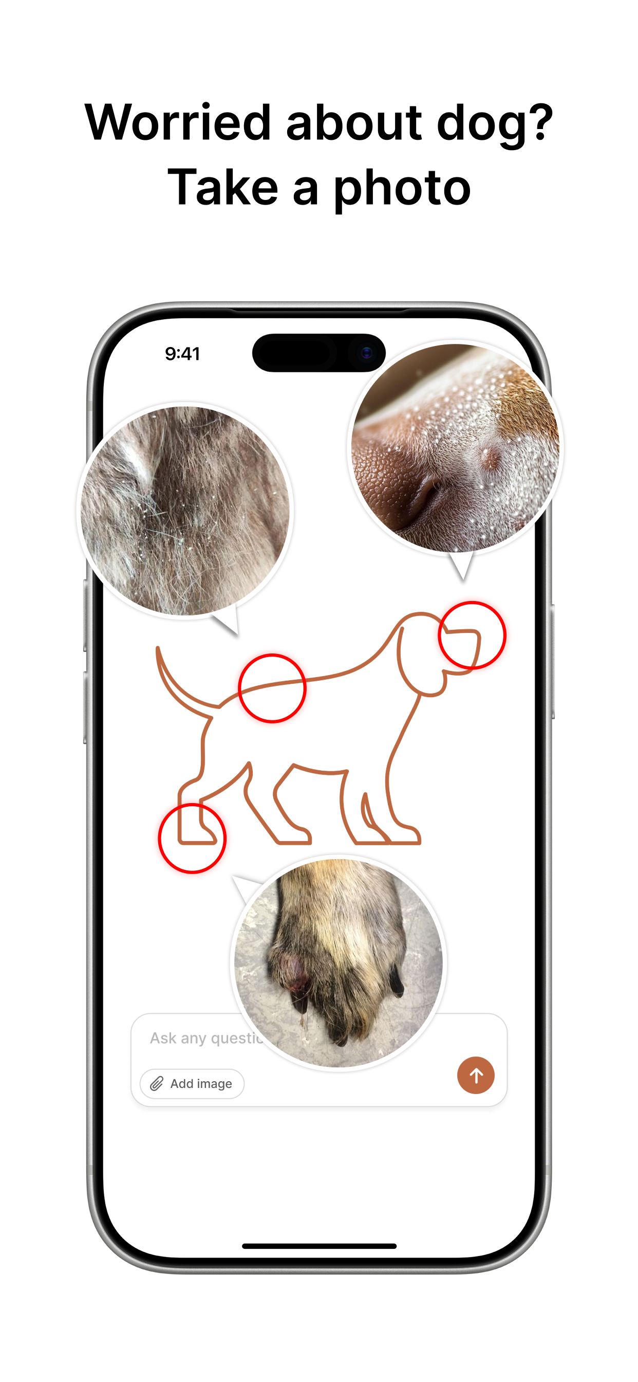 Dog Pregnancy - Pet AI screenshot 6