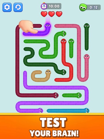 Snake Puzzle: Brain test